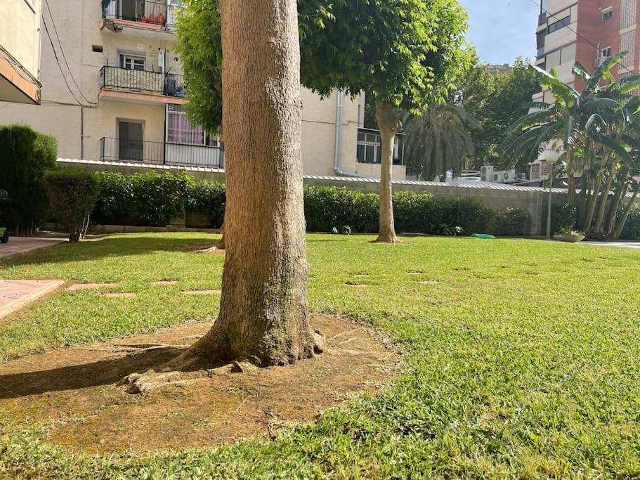 Appartamento Inmejorable Ubicacion,70M Playa 70M Pueblo Benidorm Esterno foto