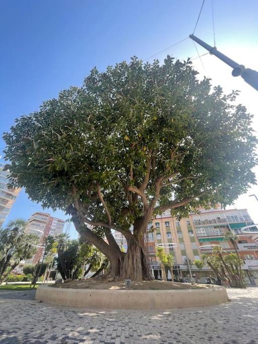 Appartamento Inmejorable Ubicacion,70M Playa 70M Pueblo Benidorm Esterno foto